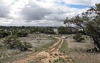 02-Convoy heads to O'Sullivan's Lookout in Wyperfeld NP